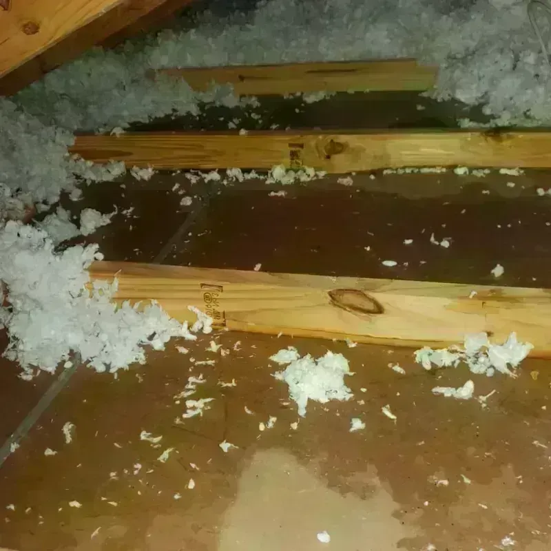 Attic Water Damage in Ripon, CA