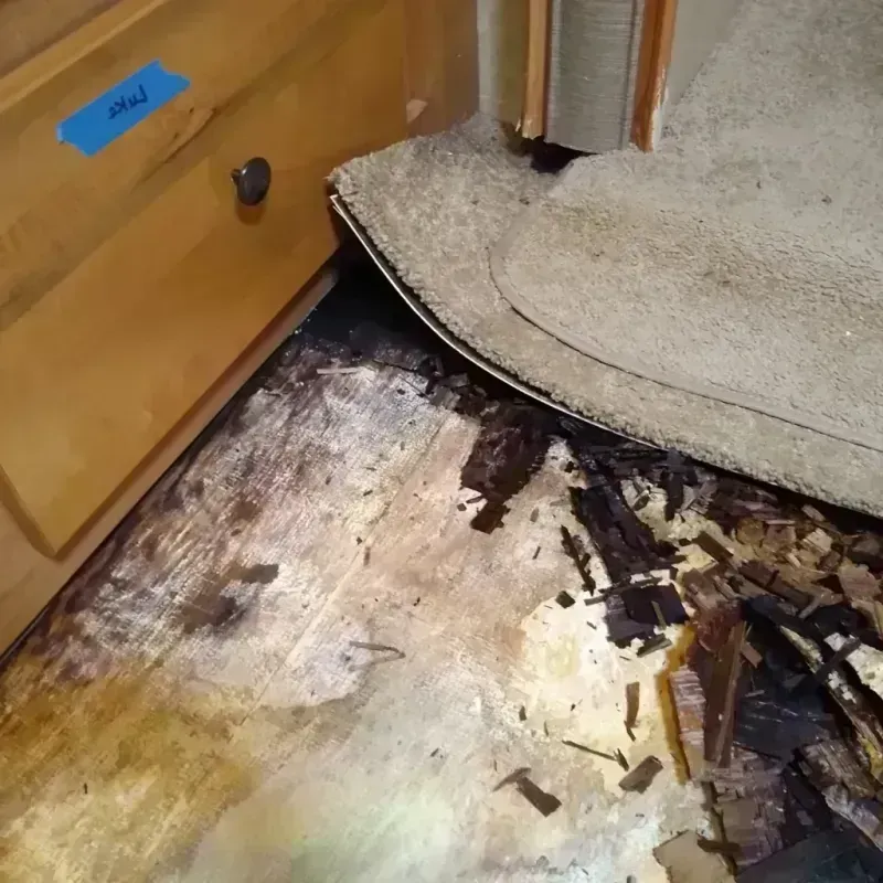 Best Wood Floor Water Damage Service in Ripon, CA